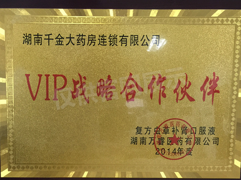 2014年VIP戰略合作夥伴